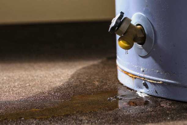  Kimball, NE Water damage restoration Pros