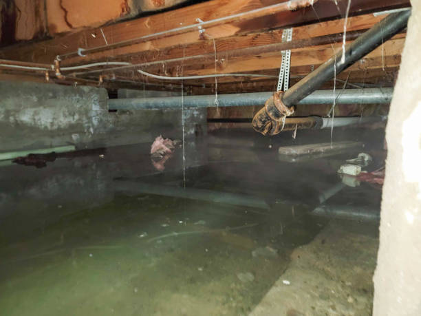 Best Commercial water damage restoration  in Kimball, NE