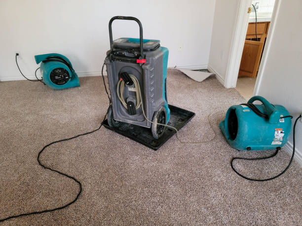 Best Water damage contractors near me  in Kimball, NE