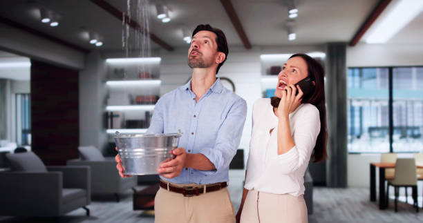 Best Water damage restoration services  in Kimball, NE